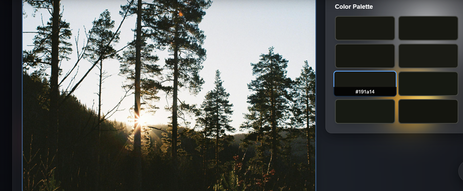 FreeOnlineColorPicker method 2: Pick Color Directly from Screen